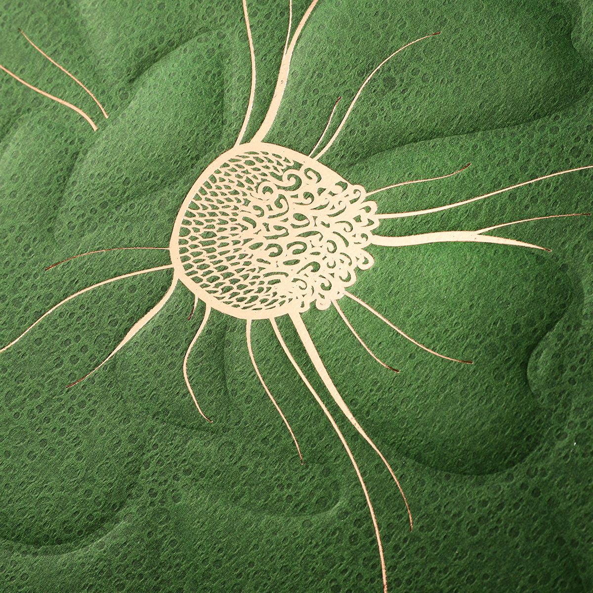 Embossed detail on green packaging with a gold accent